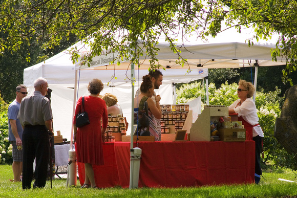Art Crawl 2013