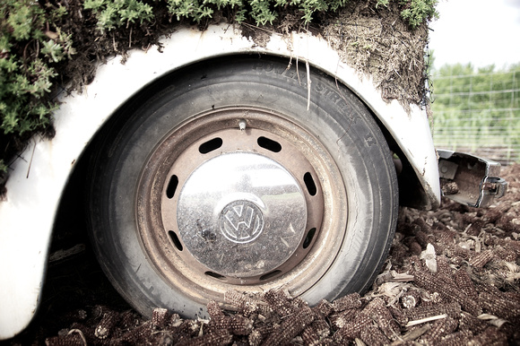 Powerhouse Plants - "A Plant that Turns Wheels"
