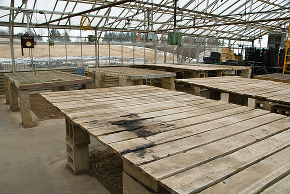 Greenhouse & Headshop Deterioration