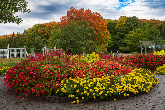 Annual Garden Autumn 2022