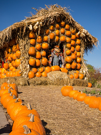 Arboretum Autumn Experience