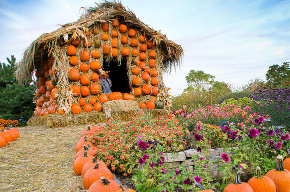 Arboretum Autumn Experience