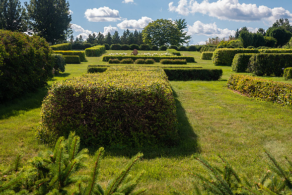 View of Hedge Display