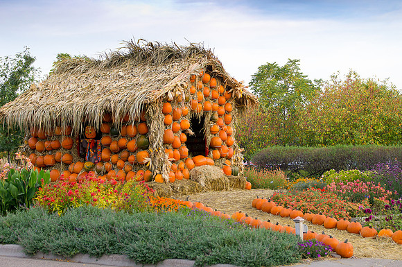 Arboretum Autumn Experience
