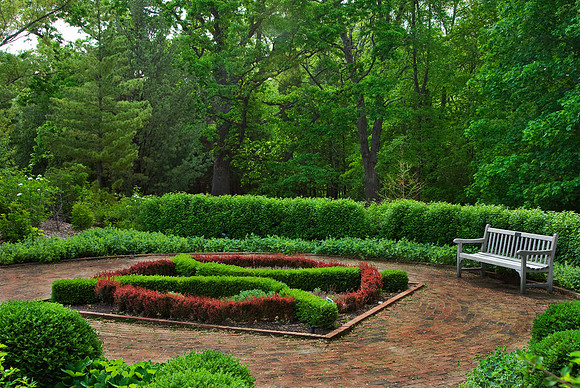 Knot Garden