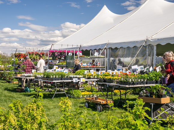 Annual Plant Sale 2024