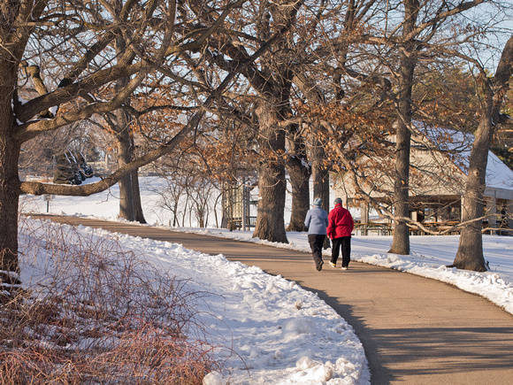 Winter Walkers