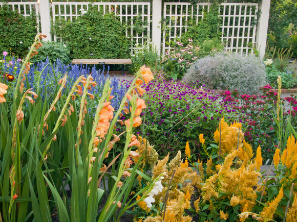 Home Demonstration Gardens
