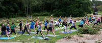 Yoga in the Gardens