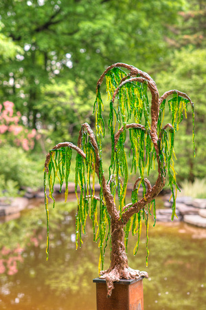 Nature in Glass