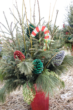 Making Spirits Bright 2009