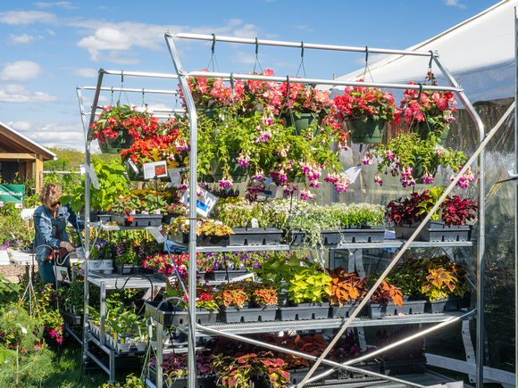 Annual Plant Sale 2024
