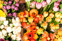Floral