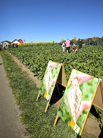 2024 Arboretum Field Fest
