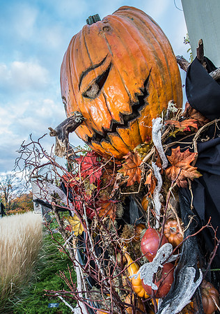 Scarecrows in the Garden 2014