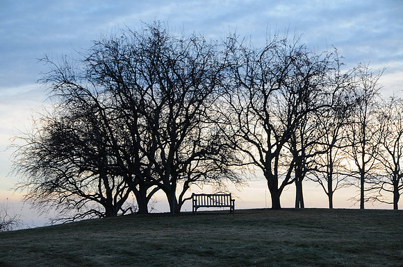 Evening solitude at the Aboretum