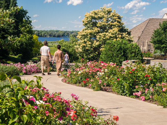Rose Walk