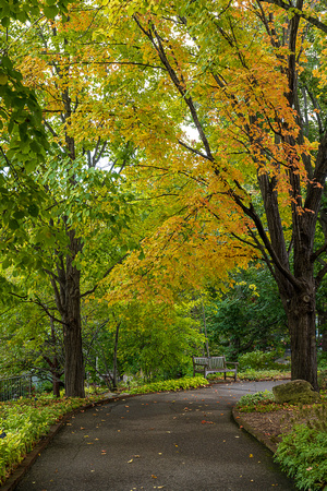 Autumn Grounds 2022