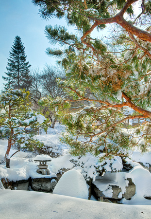 Winter Japanese Garden