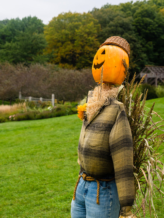 Scarecrow Profile