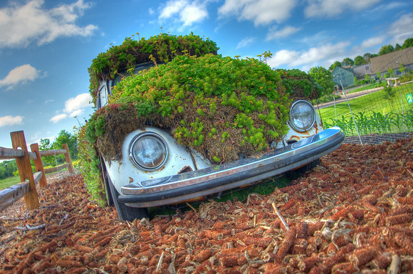 Powerhouse Plants - "A Plant that Turns Wheels"