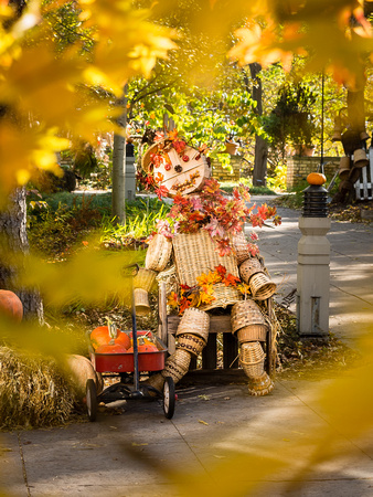 Arboretum Autumn Experience