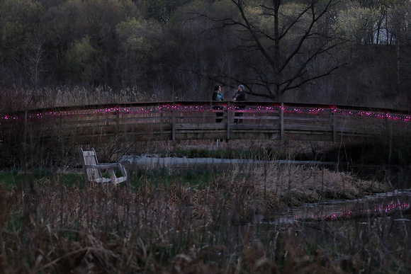 2024 Full Pink Moon Hike