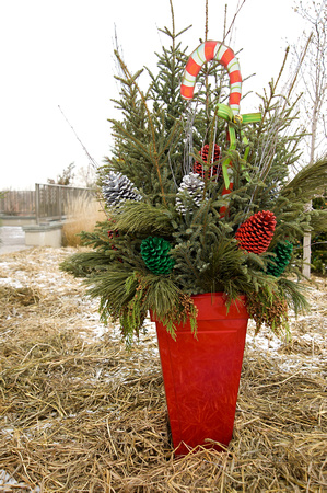 Making Spirits Bright 2009