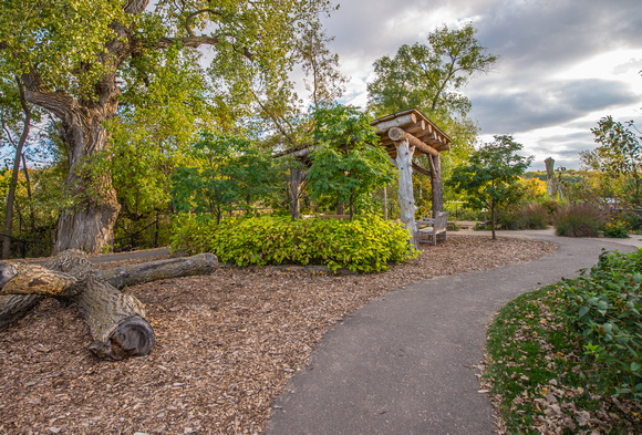 The Green Play Yard 2014