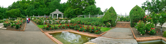 Rose Garden Pano