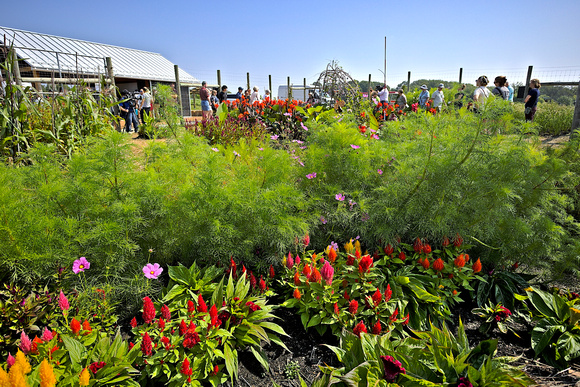 2024 Hmong Garden Celebration