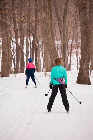 Winter Sport - skiing