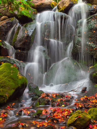 Perennial Garden Waterfall and Stream