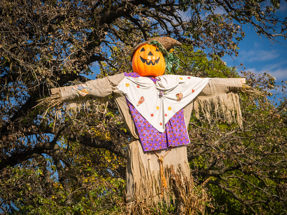 Scarecrows Village