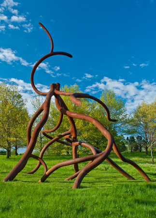 Steel Roots