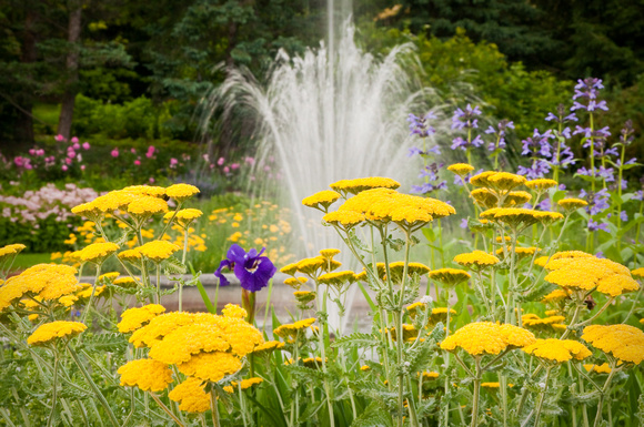 Perennial Garden and Fountain