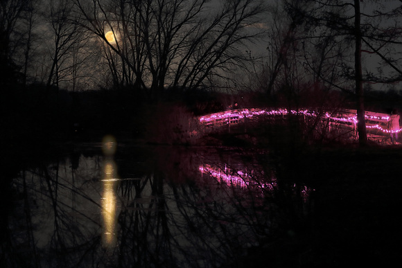 2024 Full Pink Moon Hike
