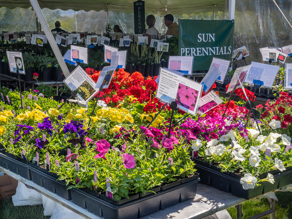 Annual Plant Sale 2024