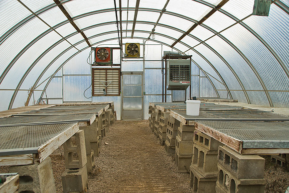 Greenhouse & Headshop Deterioration