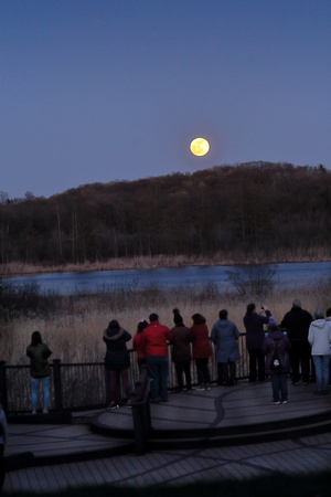 2024 Full Pink Moon Hike