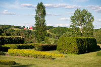 Hedge