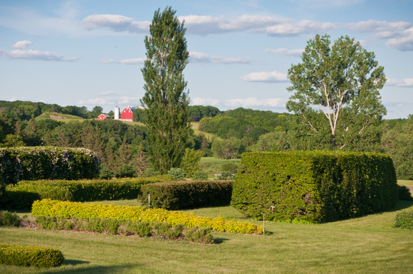 Hedge Display