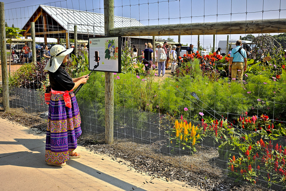 2024 Hmong Garden Celebration