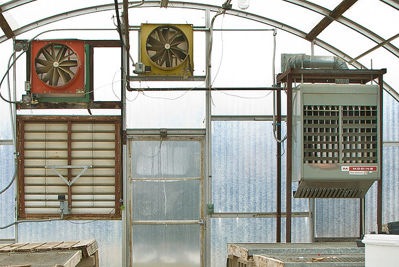 Greenhouse & Headshop Deterioration