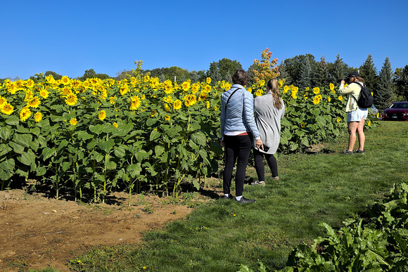 2024 Arboretum Field Fest