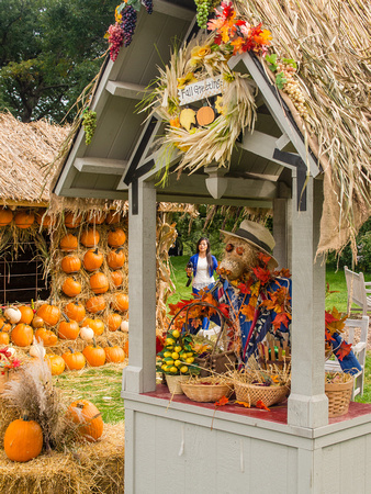 Scarecrows Village