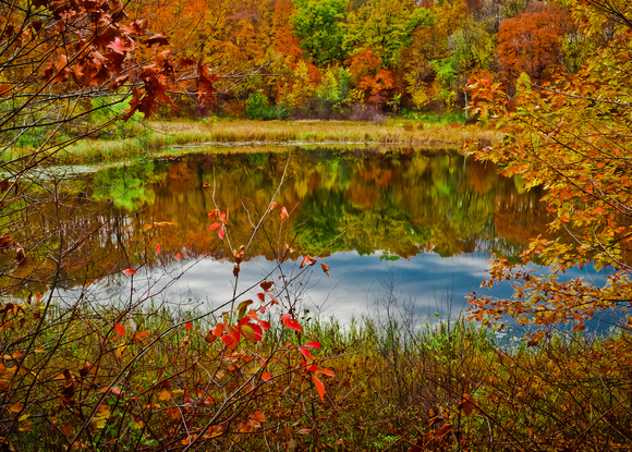 Wood Duck Pond in Autumn