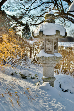 Winter Japanese Garden