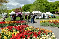 May Markets