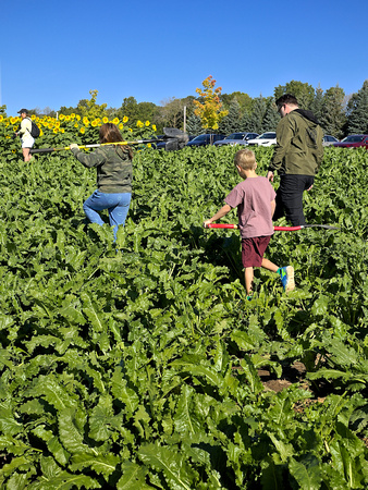 2024 Arboretum Field Fest